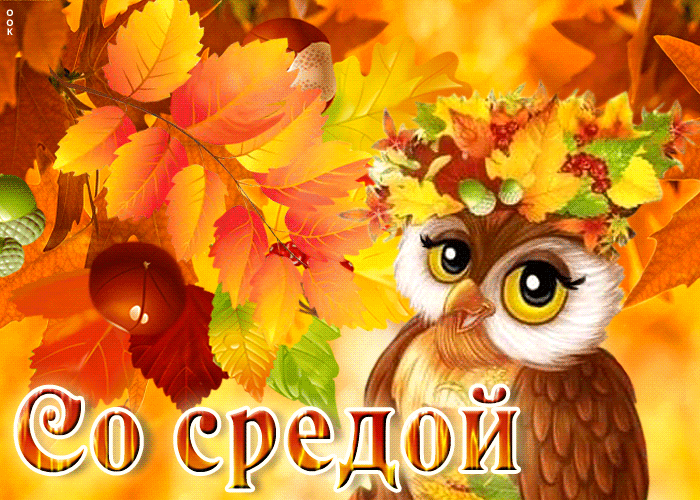 Клевая открытка с совушкой Со средой осенью.