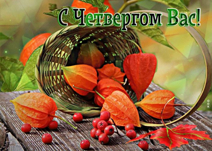 Изумительная открытка Теплого вам четверга!