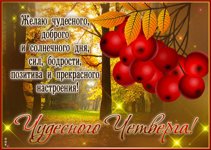 Осенняя гифка Желаю чудесного и солнечного дня, сил, бодрости, позитива.
