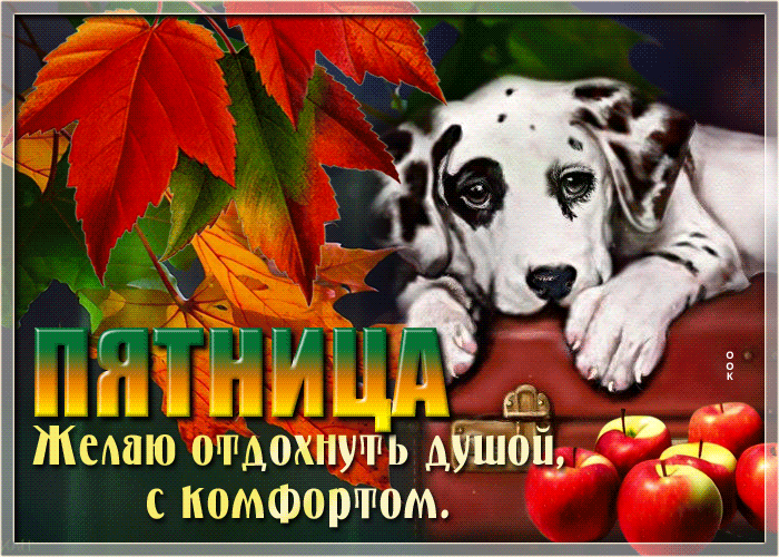 Картинка осенняя Пятница, Желаю отдохнуть душой, с комфортом.