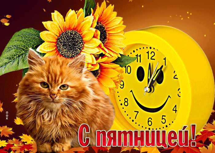 Анимация Фантастическая открытка с котиком С пятницей этой осенью!