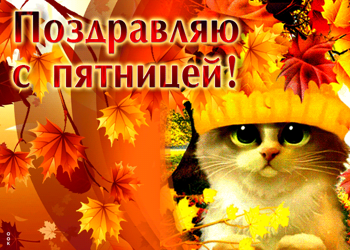 Анимационная открытка с котиком Поздравляю с пятницей и золотой осенью.