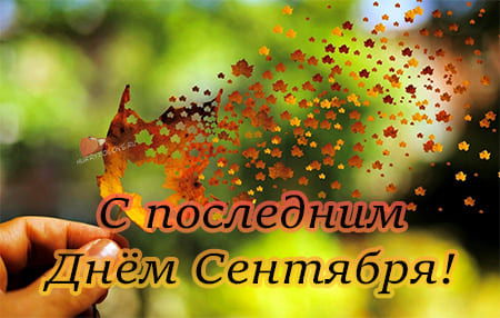 Хостинг картинок yapx.ru