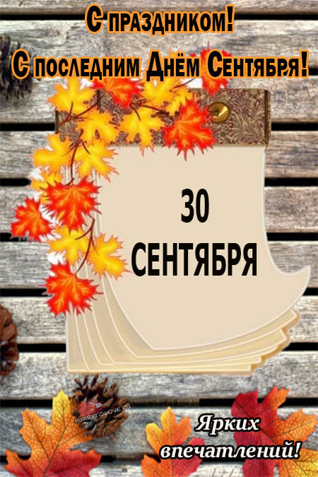 Хостинг картинок yapx.ru