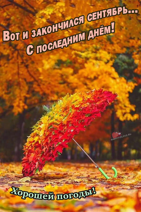 Хостинг картинок yapx.ru