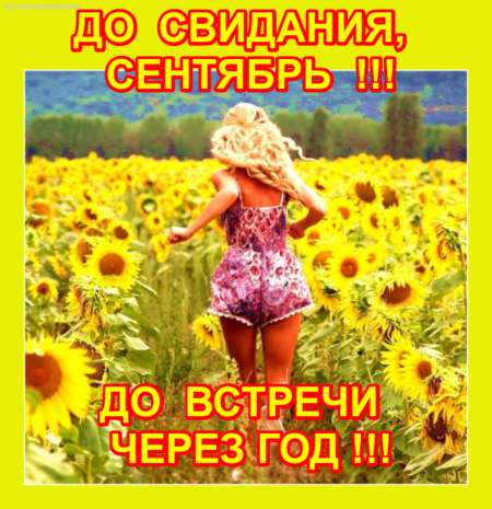 Хостинг картинок yapx.ru