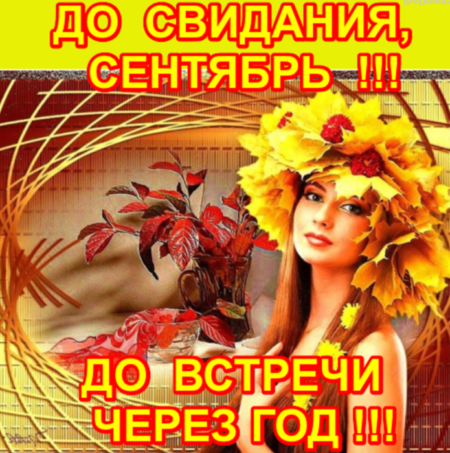 Хостинг картинок yapx.ru