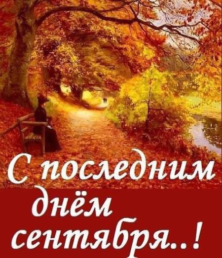Хостинг картинок yapx.ru