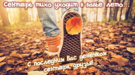 Хостинг картинок yapx.ru