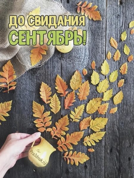 Хостинг картинок yapx.ru