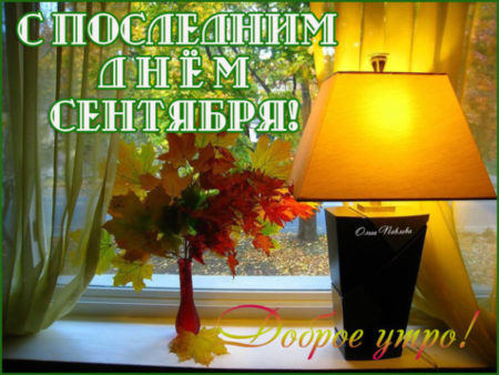 Хостинг картинок yapx.ru