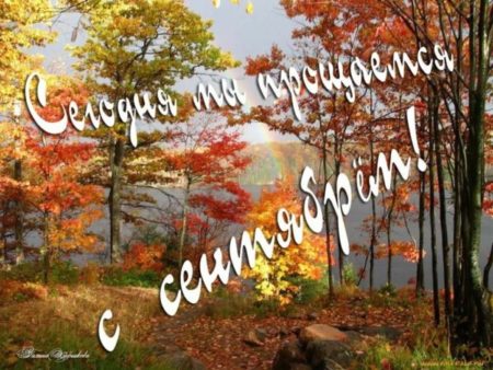 Хостинг картинок yapx.ru