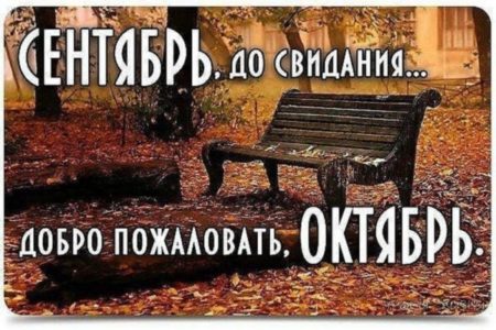 Хостинг картинок yapx.ru