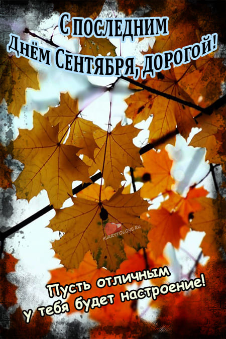 Хостинг картинок yapx.ru