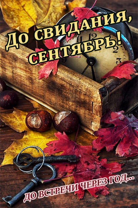 Хостинг картинок yapx.ru