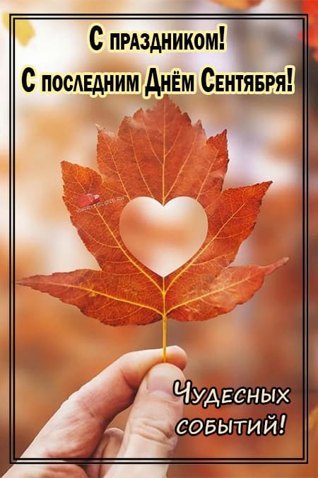 Хостинг картинок yapx.ru