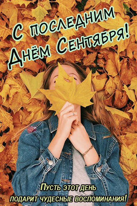 Хостинг картинок yapx.ru