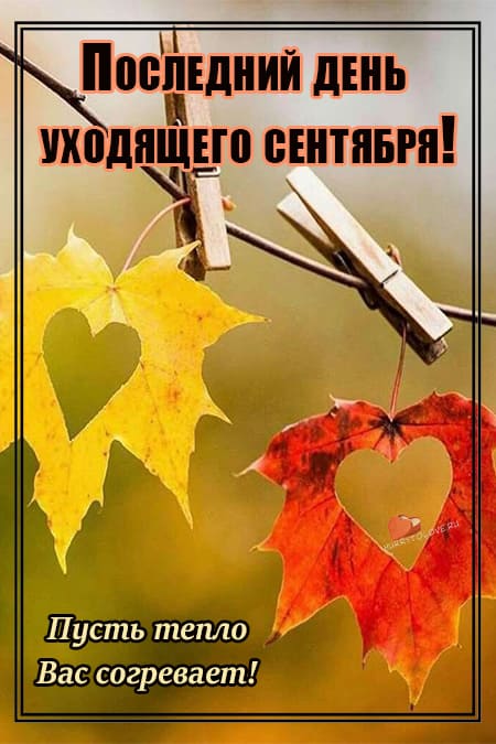 Хостинг картинок yapx.ru
