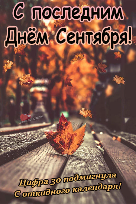Хостинг картинок yapx.ru