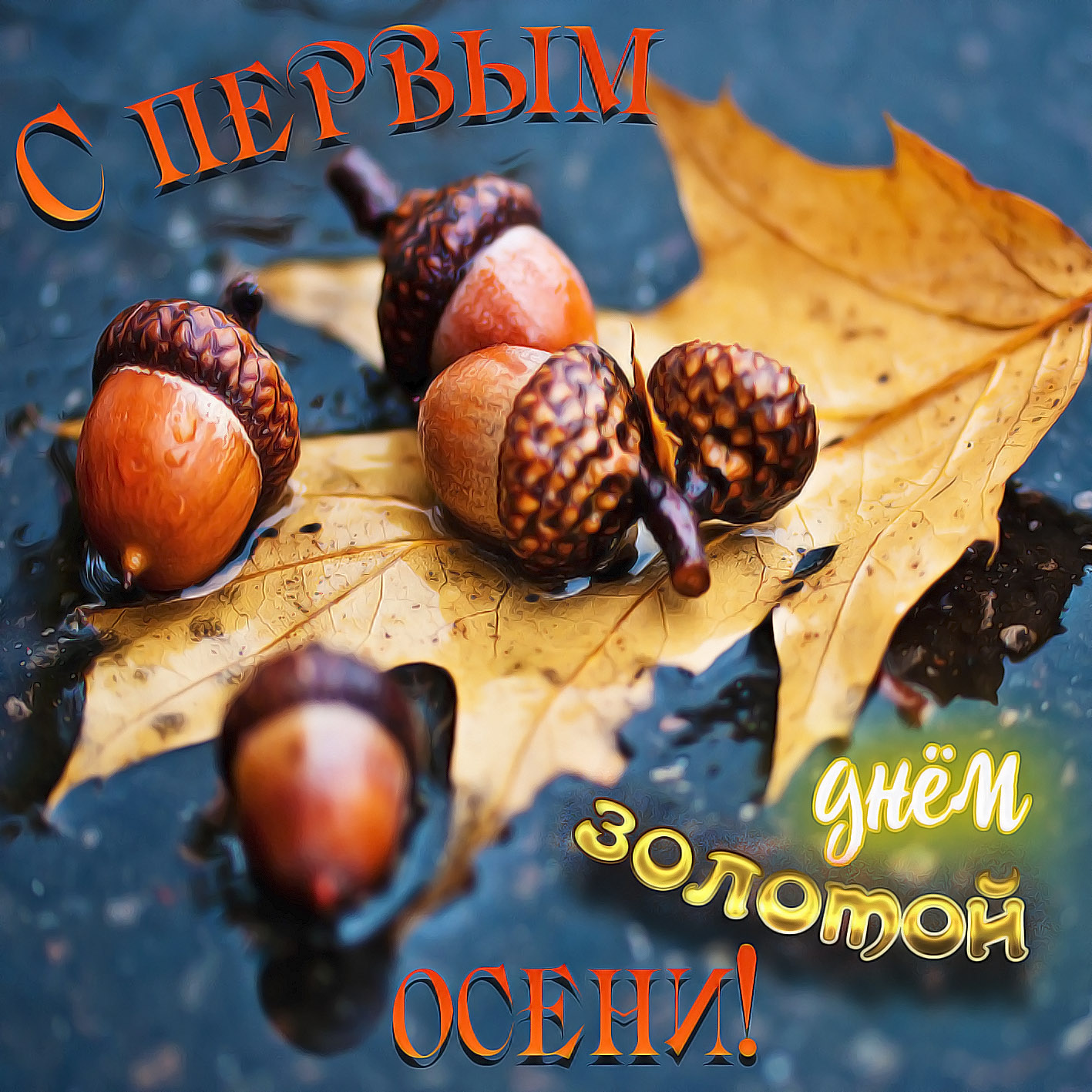 Хостинг картинок yapx.ru