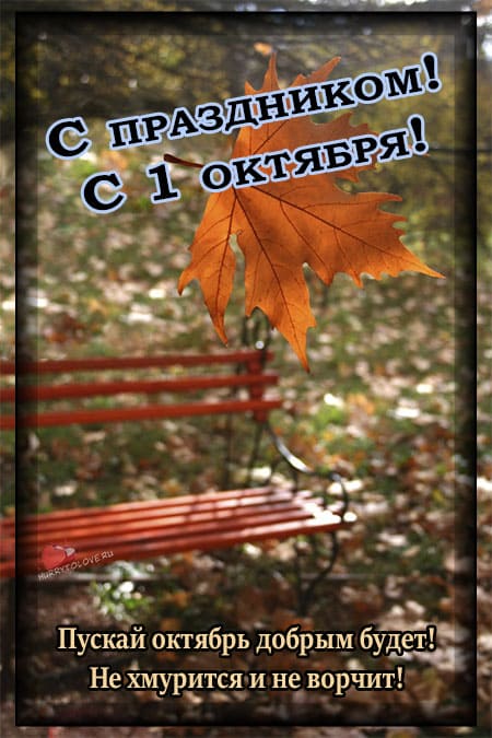 Хостинг картинок yapx.ru