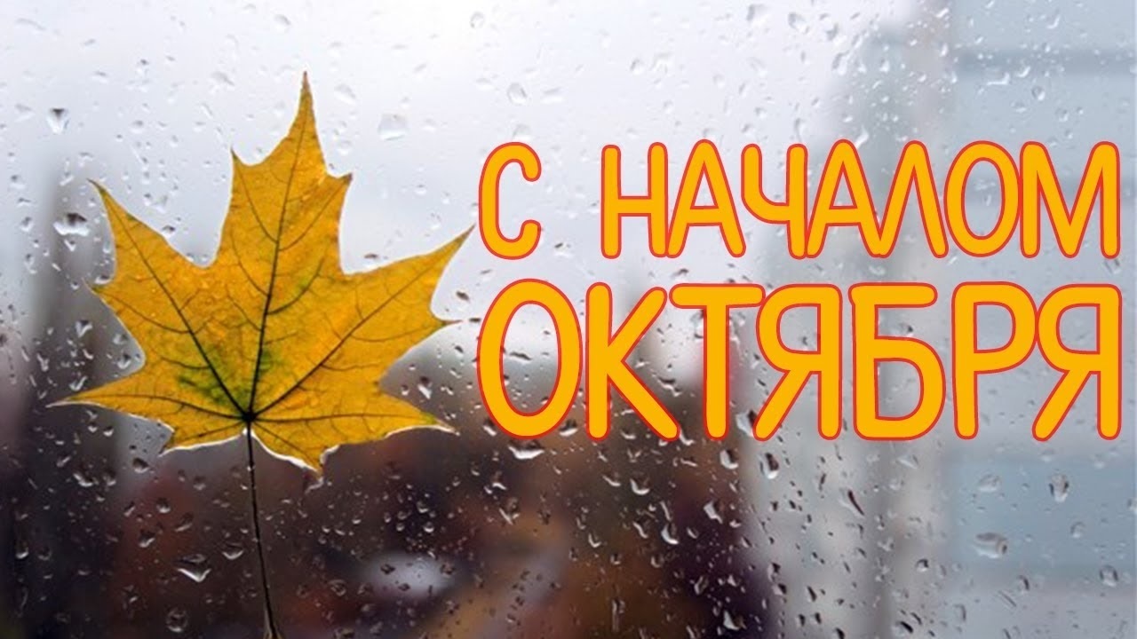 Хостинг картинок yapx.ru