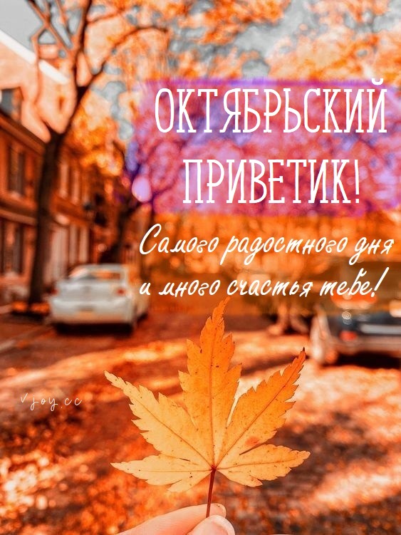 Хостинг картинок yapx.ru