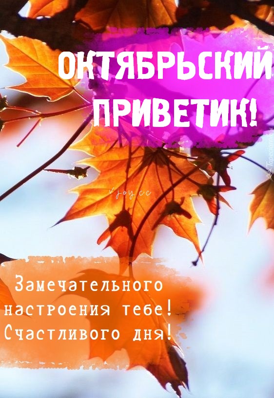 Хостинг картинок yapx.ru