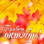 Хостинг картинок yapx.ru