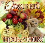 Хостинг картинок yapx.ru