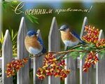 Хостинг картинок yapx.ru