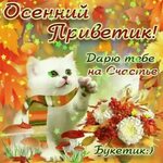 Хостинг картинок yapx.ru
