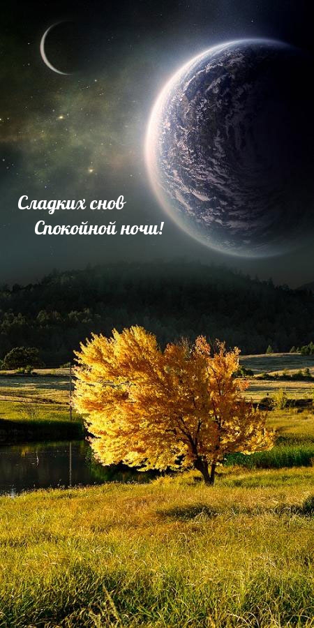 Хостинг картинок yapx.ru