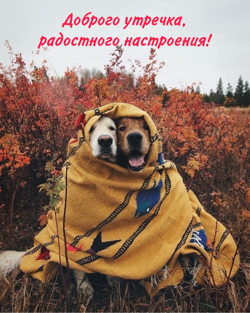 Хостинг картинок yapx.ru