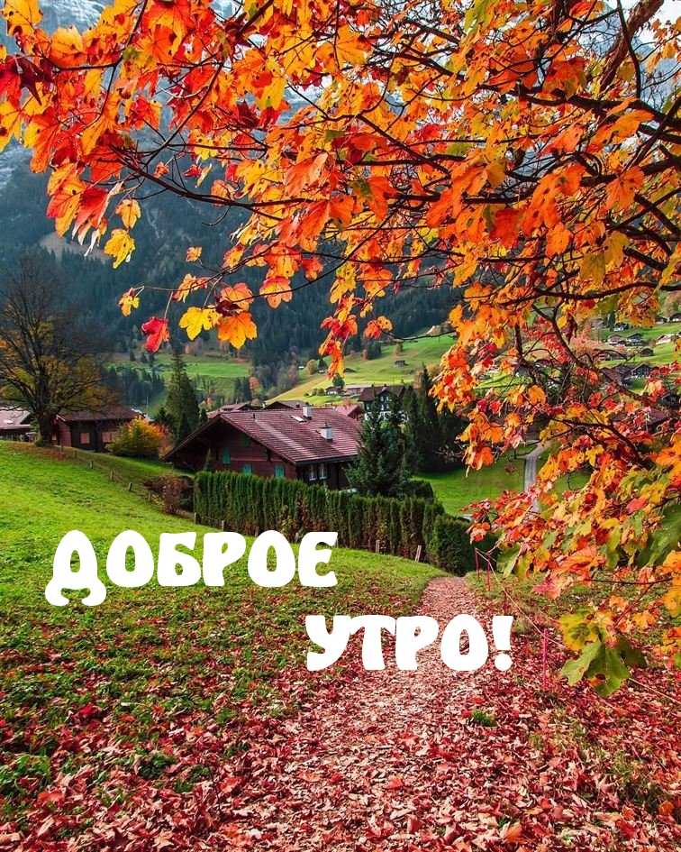 Хостинг картинок yapx.ru
