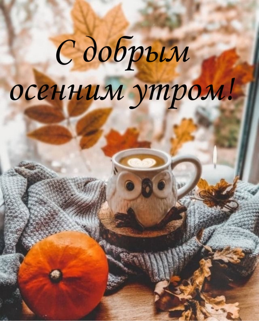 Хостинг картинок yapx.ru