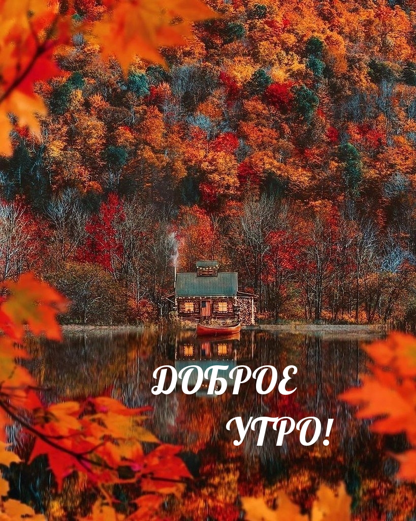 Хостинг картинок yapx.ru