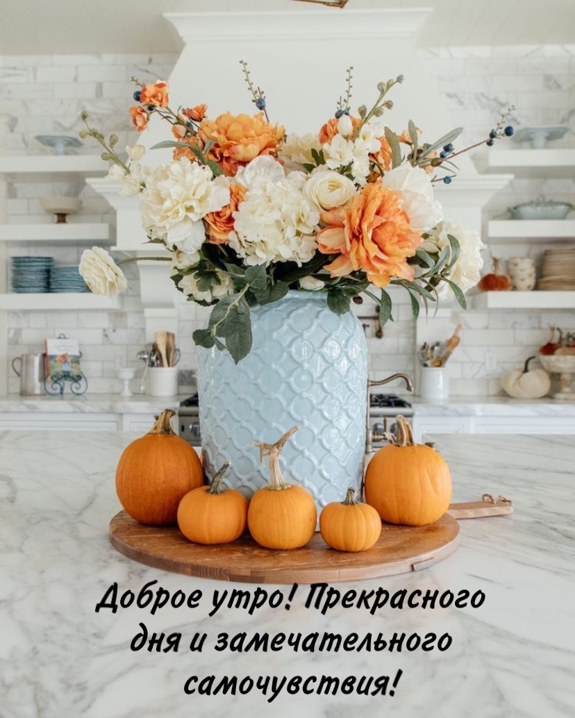 Хостинг картинок yapx.ru