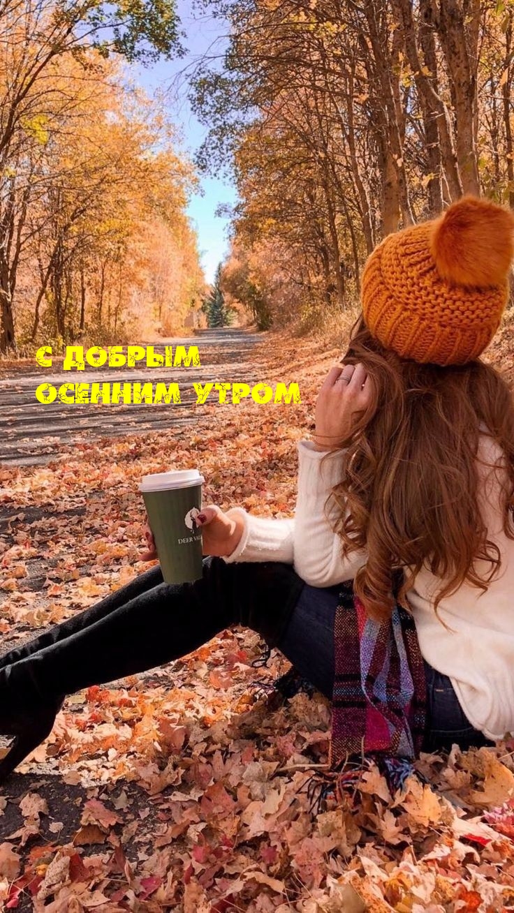 Хостинг картинок yapx.ru