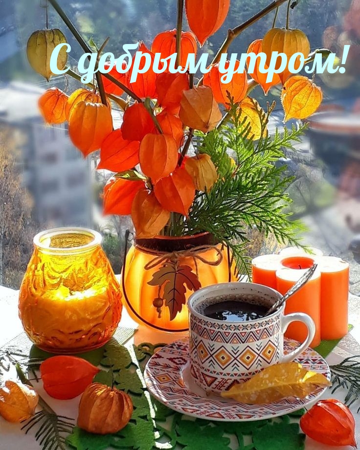 Хостинг картинок yapx.ru