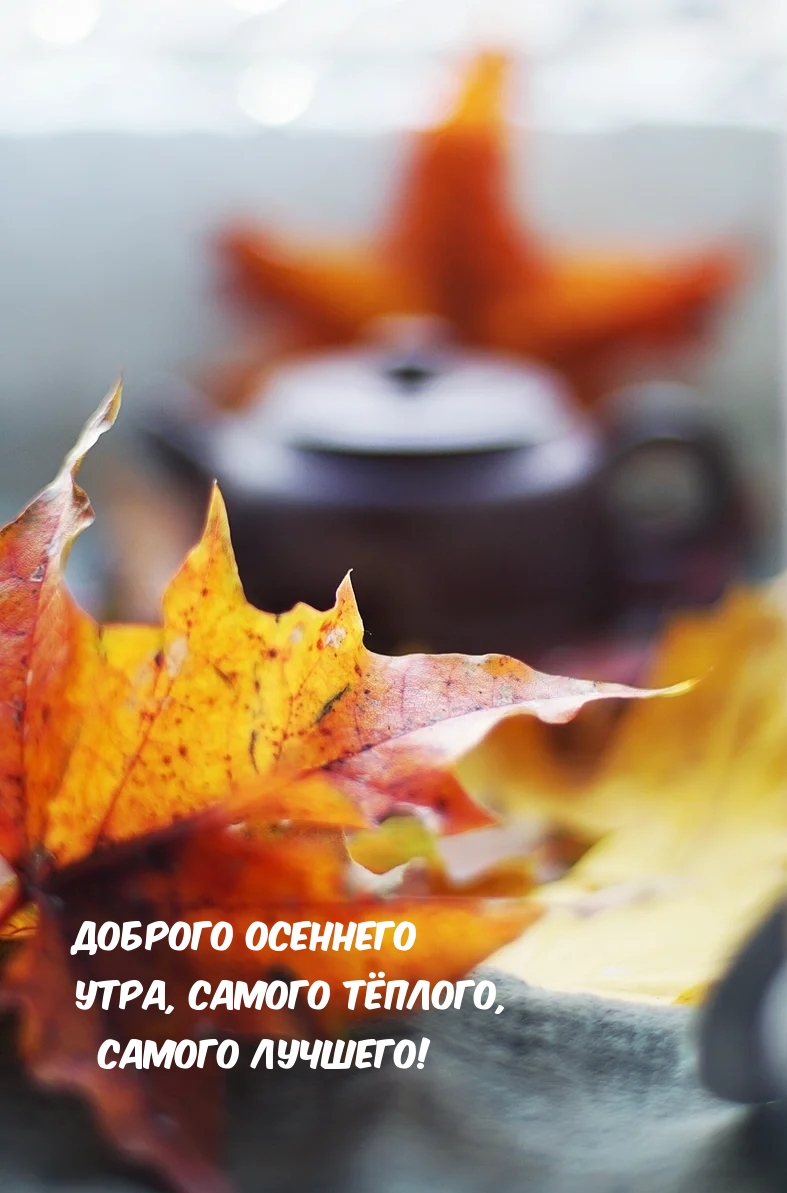 Хостинг картинок yapx.ru