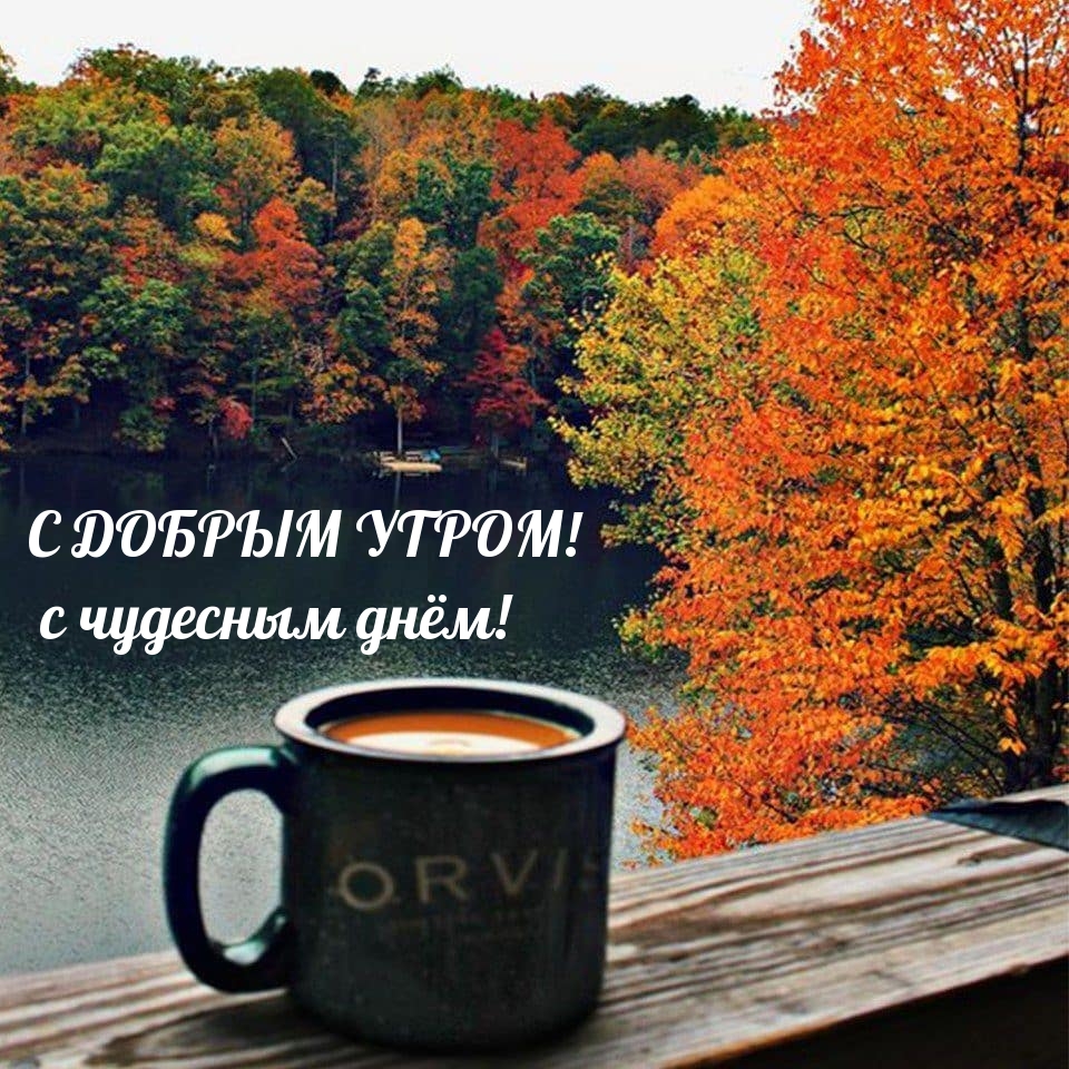 Хостинг картинок yapx.ru