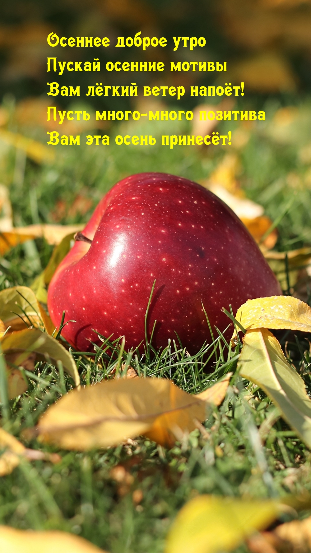 Хостинг картинок yapx.ru