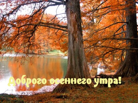 Хостинг картинок yapx.ru