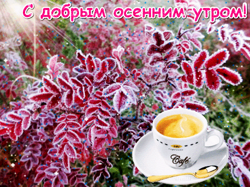 Хостинг картинок yapx.ru