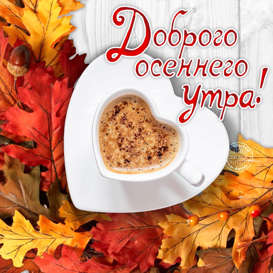 Хостинг картинок yapx.ru