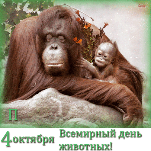 Открытка гиф с днем животных