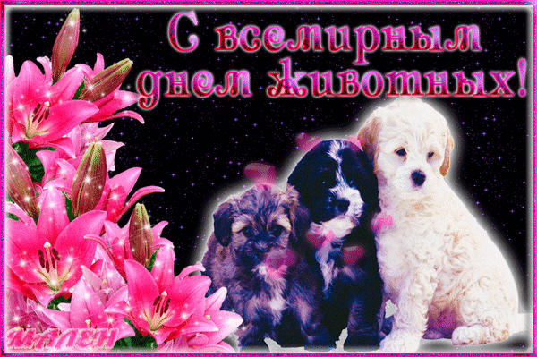 С праздником братьев наших меньших
