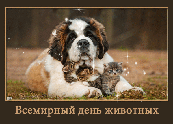 Уникальные поздравления с днем защиты животных.