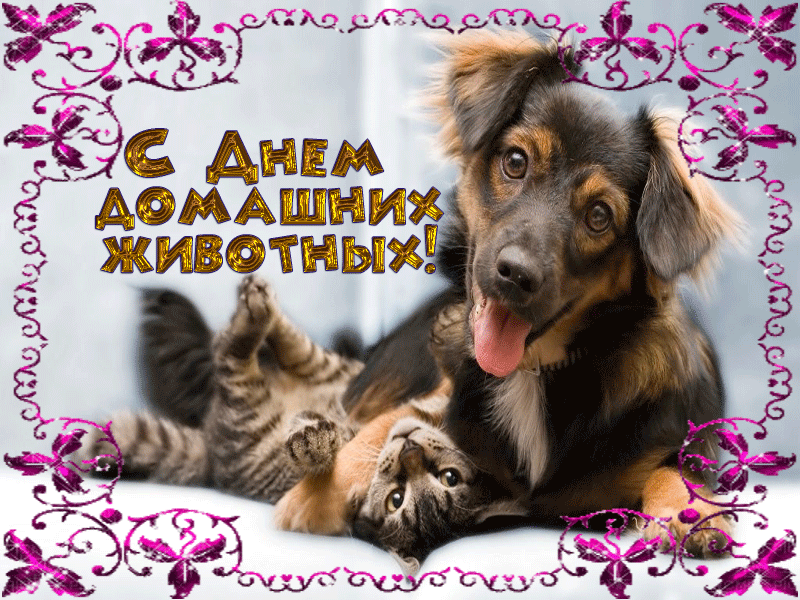 Сегодня день животных, их поздравь!